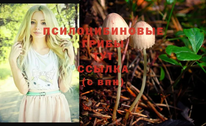 Галлюциногенные грибы Magic Shrooms  нарко площадка состав  Неман  наркошоп 